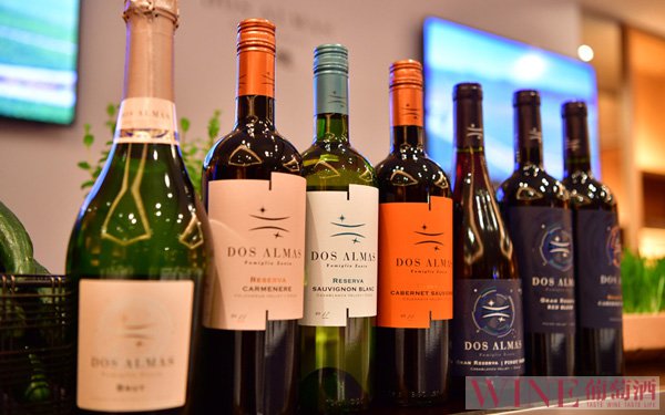 <b>意大利卓林葡萄酒公司智利新品牌双魄登陆中国市场</b>