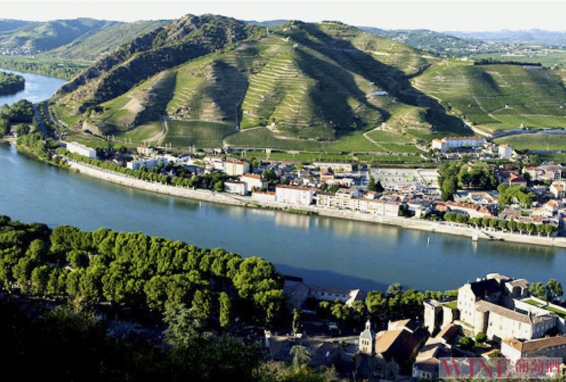 罗纳河谷：品味法国最悠久的产区