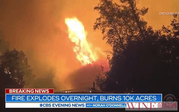 加州索诺玛突发重大野火，一夜烧焦16000多英亩