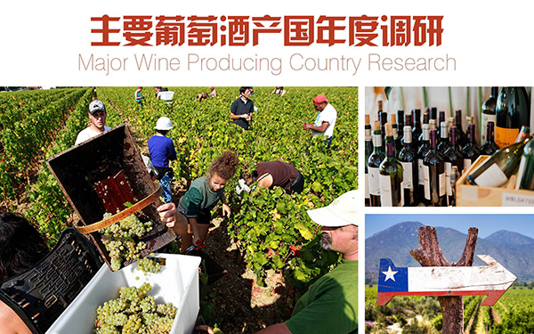 <b>主要葡萄酒产国年度调研</b>