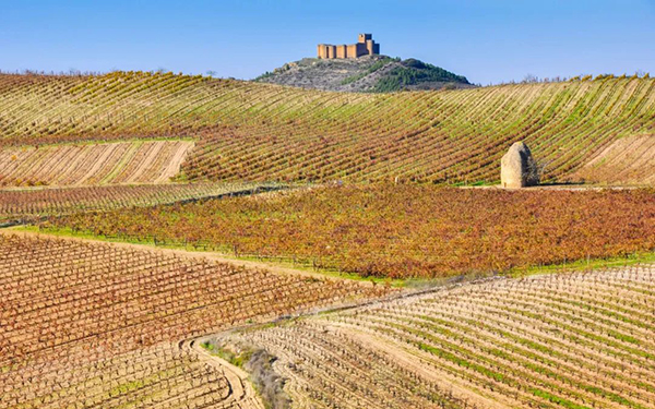 <b>西班牙葡萄酒新趋势：以可持续发展理念打造精品葡萄酒</b>